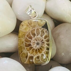 Ammonite Fossil Pendant in Sterling Silver